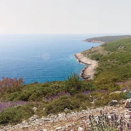 Krse V Сasa de vacaciones